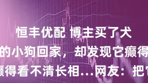 恒丰优配 博主买了犬舍最文静的小狗回家，却发现它癫得看不清长相…网友：把它电池抠了