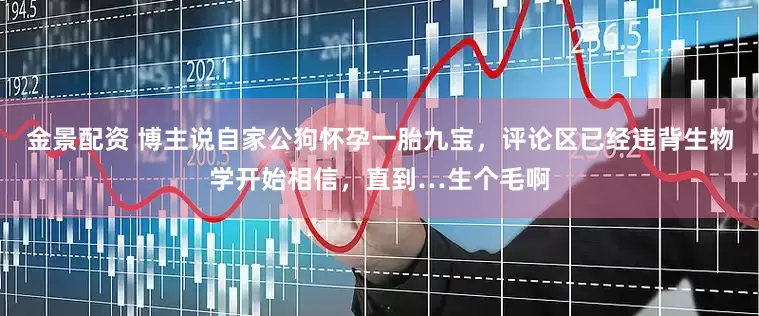 金景配资 博主说自家公狗怀孕一胎九宝，评论区已经违背生物学开始相信，直到…生个毛啊